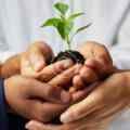 Stop Guessing Your Finances: 5 Habits of Smart Money Management